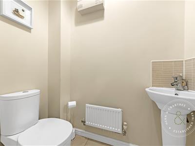 Picture 29
